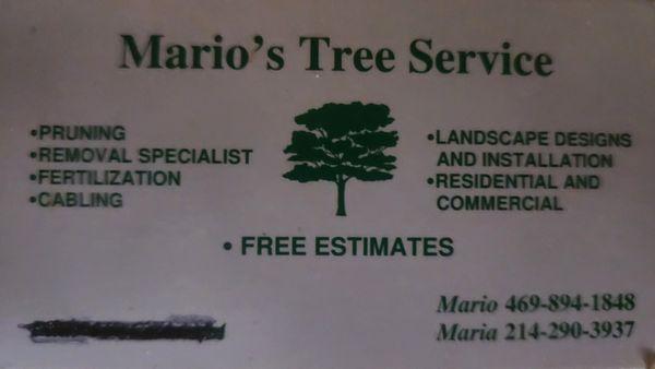 Mario tree service