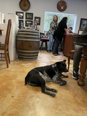 Dog friendly tasting room at Graveyard Vineyards