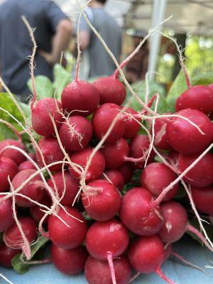 Freedom Farmer's Market