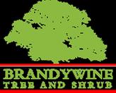 Affordable Carolina Tree Service