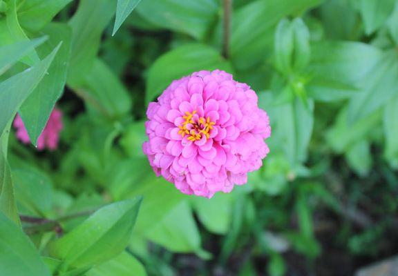 Elyse Boelman Photography