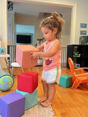 Growing Minds Collective