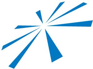 Bluestar Case Solutions