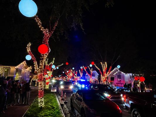 Multiple streets decorated with elaborate Christmas lights