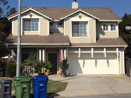 South-East facing side after 13 years.