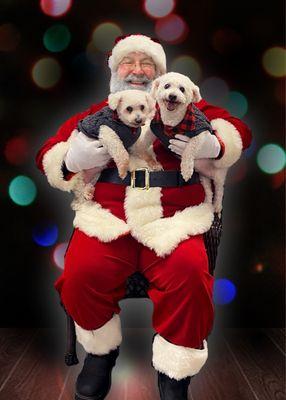 Wayside Animal Hospital