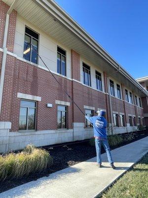 Shark Window Cleaning