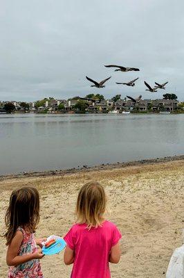 Nature and Nurture School