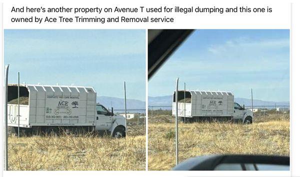 Ace Tree Trimming Service