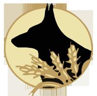 Black and Tan Construction