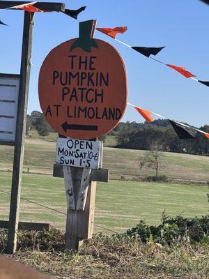Limoland Farm & Pumpkin Patch