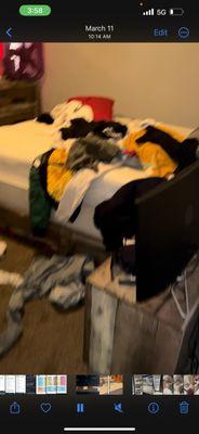 Next Level Cleaning Crew