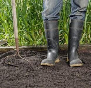 Two Friends Landscaping