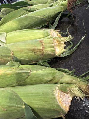 Corn with cut off ends.