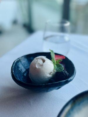 Vanilla Ice Cream & Sorbet Collection