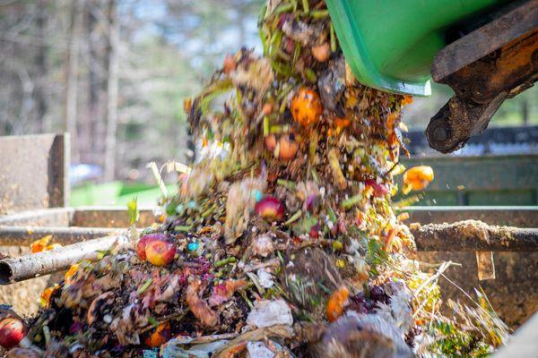 Food waste diverted from the landfill and composted instead!