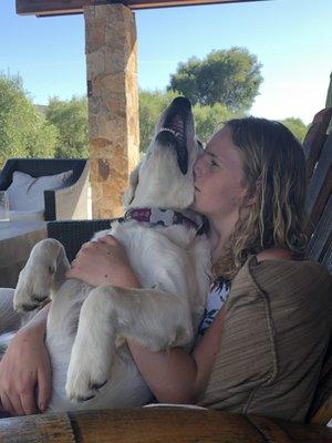 Golik G Jay Architect