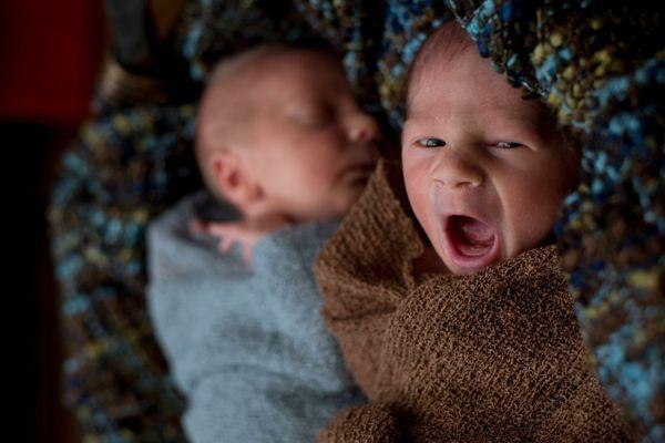 Twins newborn session