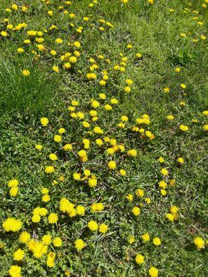 Major Taylor Bike Trail