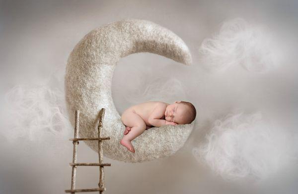 Barberries Photography