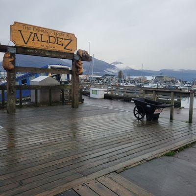 Valdez Harbor