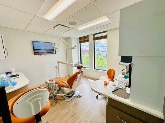 Julian Moiseiwitsch, BDS PhD