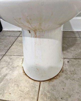 Gold Cleaning Services