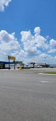 Cat scale nice blue sky day