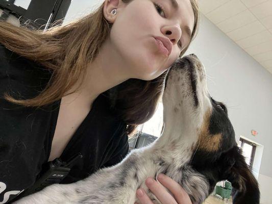 Dog Dayze- Doggie Daycare & Boarding