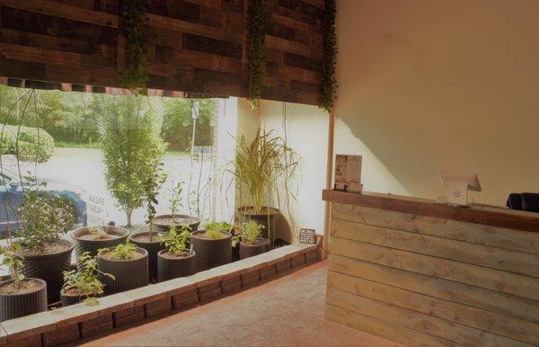 Welcome to Greenleaf STT