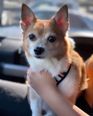 Imperial Highway Animal Clinic