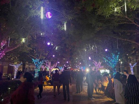 ASU West Valley during Winter Wonderland