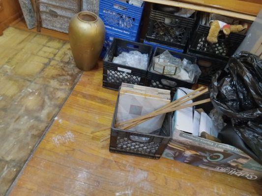 Vinnie Hyde Park Painter and Handyman