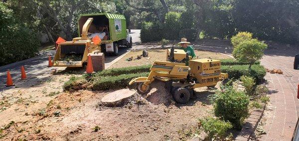 Big Green Tree Service & Landscape