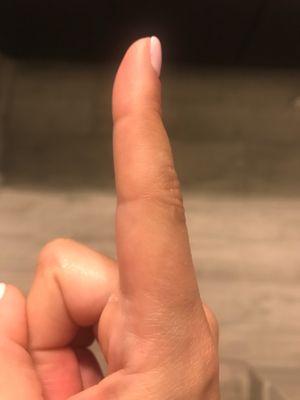 L'Arte Della Bellezza