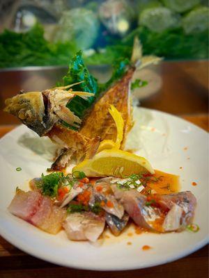 Spanish mackerel sashimi