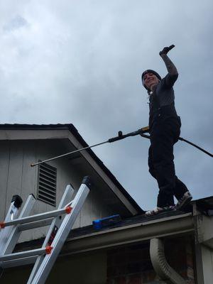 Evergreen Exteriors Cleaning