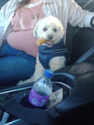 Bubble's n Bark's Pet Grooming