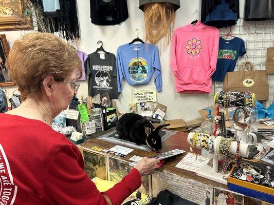 Caroline's Collectables