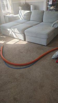 Blast Off Carpet & Upholstery Cleaning