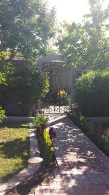 Energy Evolution Healing