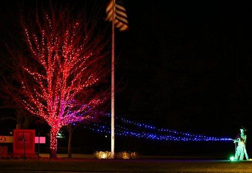 Red LED lights on a deciduous tree.