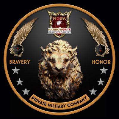 Professional Video Systems