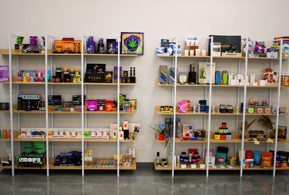 Nirvana Lake Zurich 4