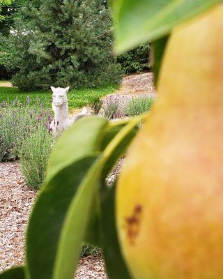 Dragon's Gate Brewery