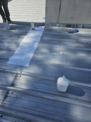 Sidneys Trash Removel