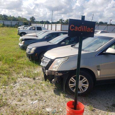 Bill's Used Auto Parts