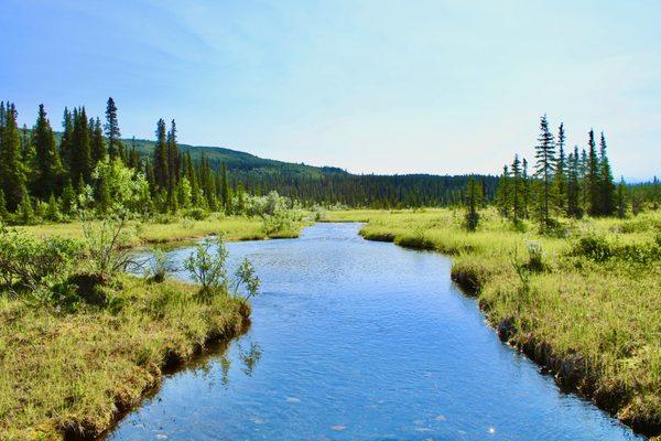 Denali National Park and Preserve