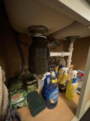 New garbage disposal and drain pipes.