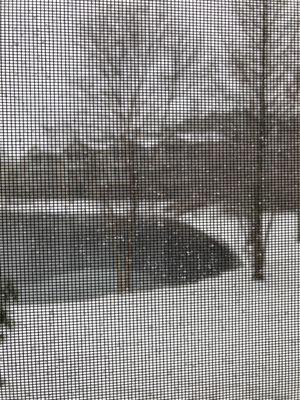 I can't believe it snowed HERE!!!! lol